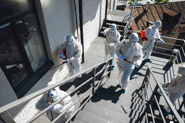 Professional Mold Removal in Tipton, MO