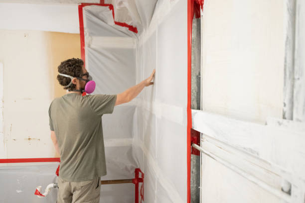 Biohazard Mold Removal in Tipton, MO