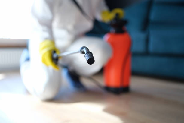 Best Comprehensive Air Testing for Mold Contaminants  in Tipton, MO