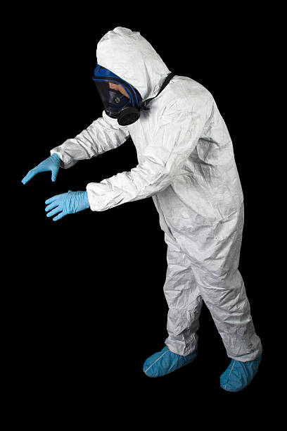  Tipton, MO Mold Removal Pros