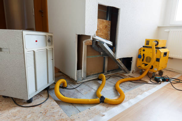 Best Air Quality Testing for Mold Spores  in Tipton, MO