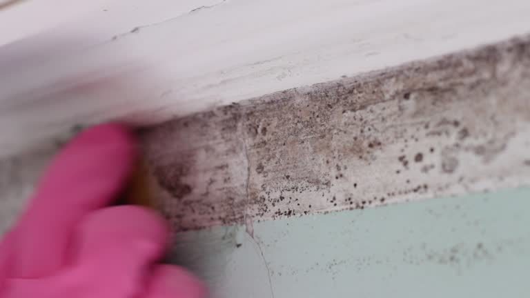 Best Asbestos and Lead Testing During Mold Inspection  in Tipton, MO